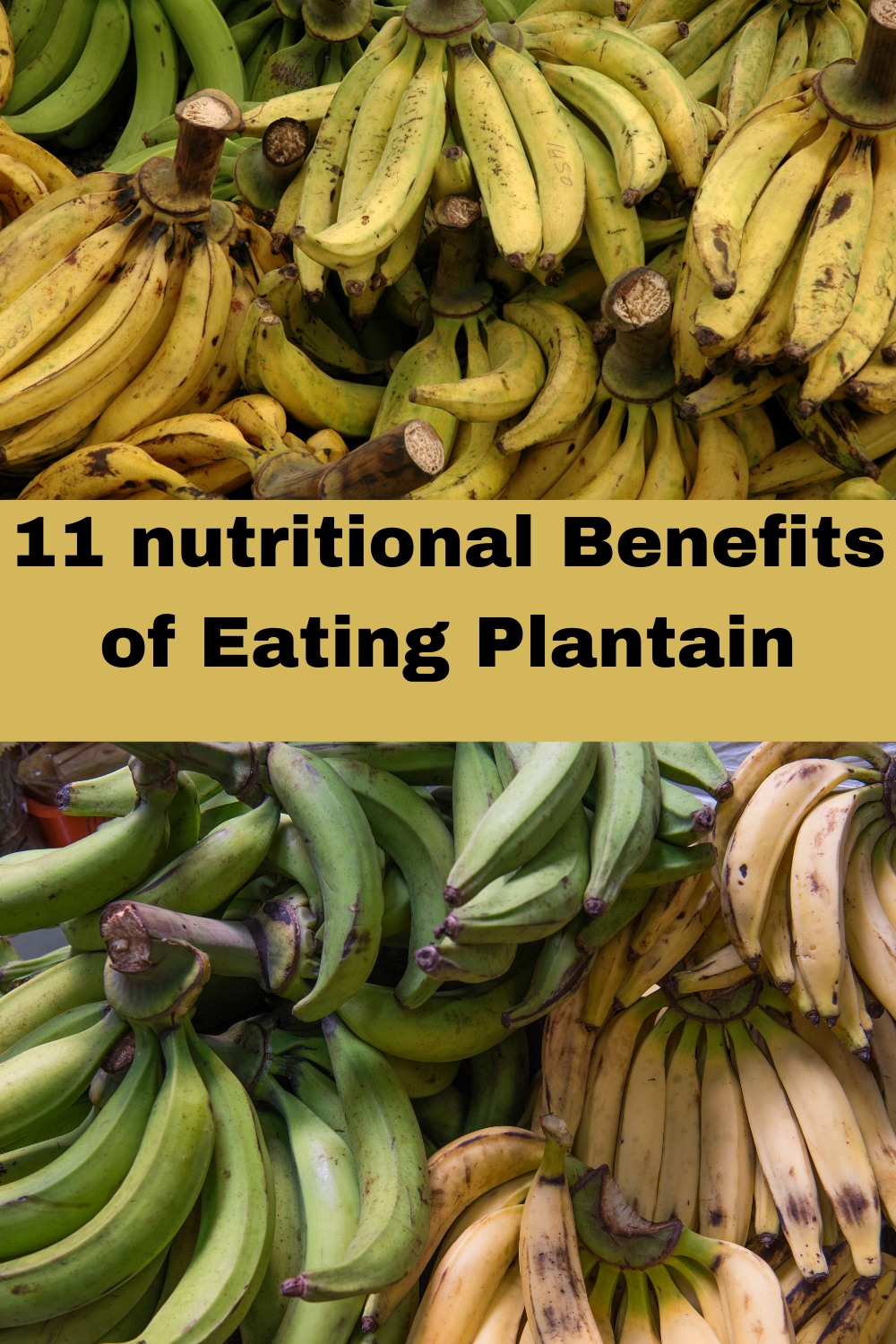 Nutritional Value And Benefits of Eating Of Plantain