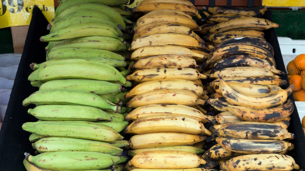 benefits of plantain